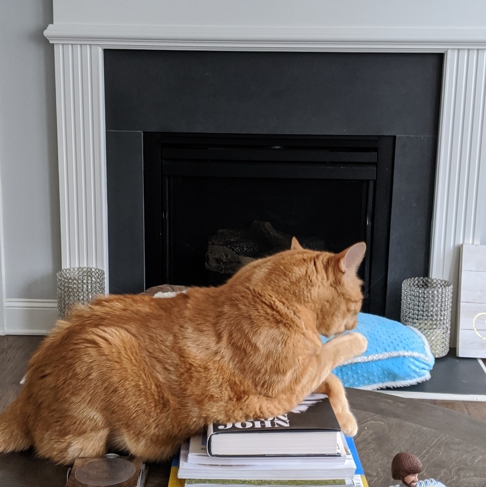 Meet your Posher, Kelly